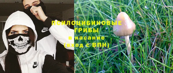 кокаин премиум Дмитриев