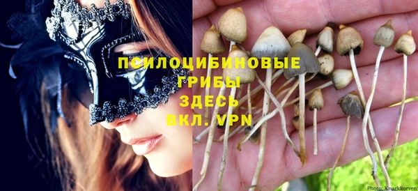 Альфа ПВП Дмитров