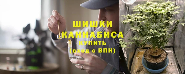 Альфа ПВП Дмитров
