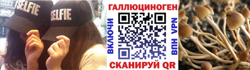Псилоцибиновые грибы Psilocybine cubensis  Армавир 